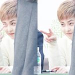 [EXO] 아시발존나무안하네 ㅣㅋㅋㅋㅋㅋㅋㅋㅋㅋ