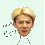 [EXO] 변백현 혹시 또 알아? 김태연 부모님한테