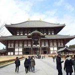 일본에서만난 귀여운 사슴들