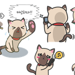 [유용한정보] 연인들을 위한 어플 만들어 봤어요 :)