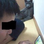 주인이 <b>한심</b>한 반려동물들