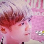 [EXO] 신고할꺼임