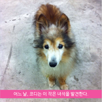 마음으로 보는 <b>사진들</b>..66