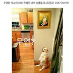 [공미니] <b>우연</b>하게 대박난 물건들