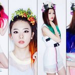 [EXO] 레드벨벳