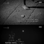 [추억파리여] 세상에서 가장 유명한 <b>죄수</b>