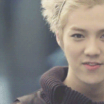 [EXO] 루한은 이머리도 <b>소화</b>가능