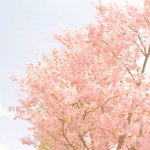 [EXO] <b>이런</b> 분위기의 <b>사진</b> 좋아하는 애 없냐?