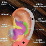 [댓글부탁] 피어싱 <b>위치</b> 추천해주세요!