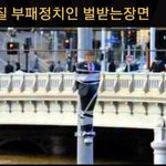 [추억파리여] 브라질 부패정치인의 벌