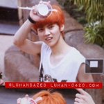 [양민오빠] <b>퍼렁</b>밤나와서 종현이랑 싸우길 ㅅㅊ