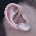 [EXO] 귀 <b>정답</b>공개