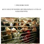 [공토다] 3대 공짜 <b>대란</b>