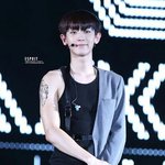[EXO] 룸메조기<b>종영</b>기사...