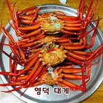 <b>지역</b>대표메뉴 총집합!!! 부산밀면 땡긴다...