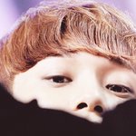 [exo] 김종대 이사진뭐야?ㅠㅠㅠㅠㅠ