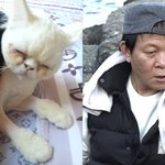 [고양이]  억울하게 생긴고양이2탄. 손으로 물을 퍼먹는 우리고양이...