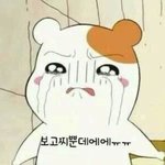 [시우민] ㅅㄷ)웅녀들!! 웨이보에서 <b>저장</b>한 움짤말야~