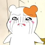 [EXO] 요즘분위기좀안좋았는데