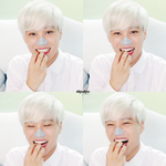 [카이] 코팩바른 <b>아기</b>코알라 카이(귀염사)