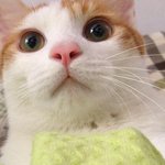 [EXO] 근데 <b>라식</b>해도 렌즈낄수있음??