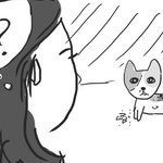 [김쭈꿍] 어느 길냥이의 인생 대<b>역전</b> 스토리