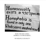 [추억파리여] 동성애 혐오자들을 향한 <b>외침</b>
