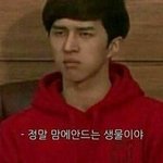 [EXO] 존나 <b>개새</b>년아 ^^;;;