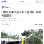 [EXO] 태풍의 <b>피해</b> <b>상황</b>