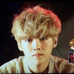 [EXO] 누구 이 코카스파니엘 한마리 키울사람