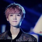 [EXO] <b>성종</b>이 정님이라고?ㅋㅋㅋㅋㅋㅋㅋㅋㅋㅋㅋㅋㅋㅋㅋㅋㅋㅋㅋ