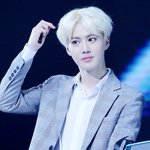 [EXO] 한국인멤버 비주얼도 요정돋는데 어쩔
