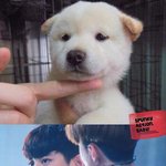 [찬열] 찬뭉이 졸귀ㅠㅠㅠ