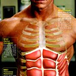 [패션근육] 제 복근 인증! 20대흔남 복근 인증합니다. 복근 운동...