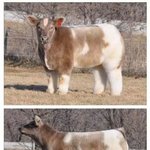 [EXO] 아침부터 <b>교감</b>선생님께서 전화