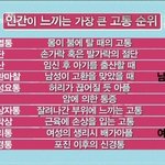 [로이드] 사람이 느낄수 있는 고통 순위