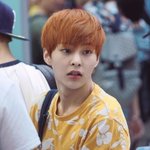 [시우민] 시우민, 고양이 <b>vs</b> 강아지(비글)