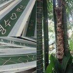 [EXO] 우리 또 욕처먹고있다