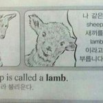 [콜로라도] 청소년 <b>영어책</b>의 패기