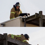 [EXO] 앜ㅋㅋㅋㅋㅋㅋ 이거 조카 귀여웤ㅋㅋㅋㅋㅋ