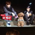 [EXO] 동생새기가 치킨 먹으면서 놀린다