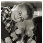 감동백배 리얼실화 "오웬과 하치"