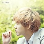 [EXO] 미친 루한 산지기<b>이미지</b>에 영업당함