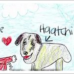 최고의 유기견 "하치"와 소년오웬의 가슴아픈 이야기