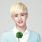[EXO] 니네 비트박스 앉지마