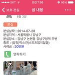 반려동물을 찾습니다..