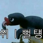 [EXO] 엑소엘이라뇨<b>의사</b>양반....
