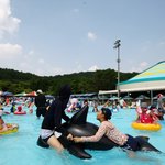 워터<b>파크</b>말고 서울랜드갔다옴..