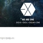 [EXO] 헐미친뭔가가입되었다