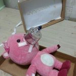 [EXO] 오늘은 벽반무리야..